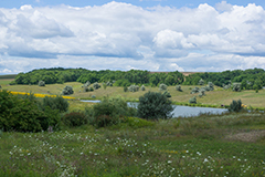 Пейзажи